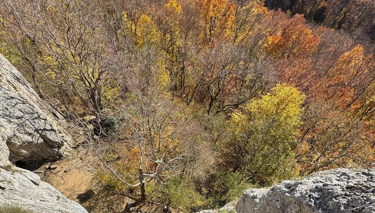 © LB-DAV / Trenc & Wörz