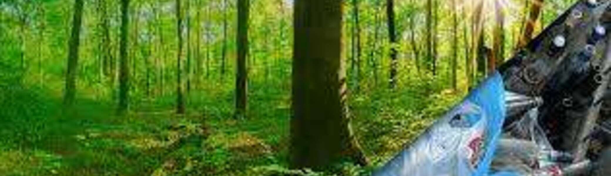 © Waldputztag