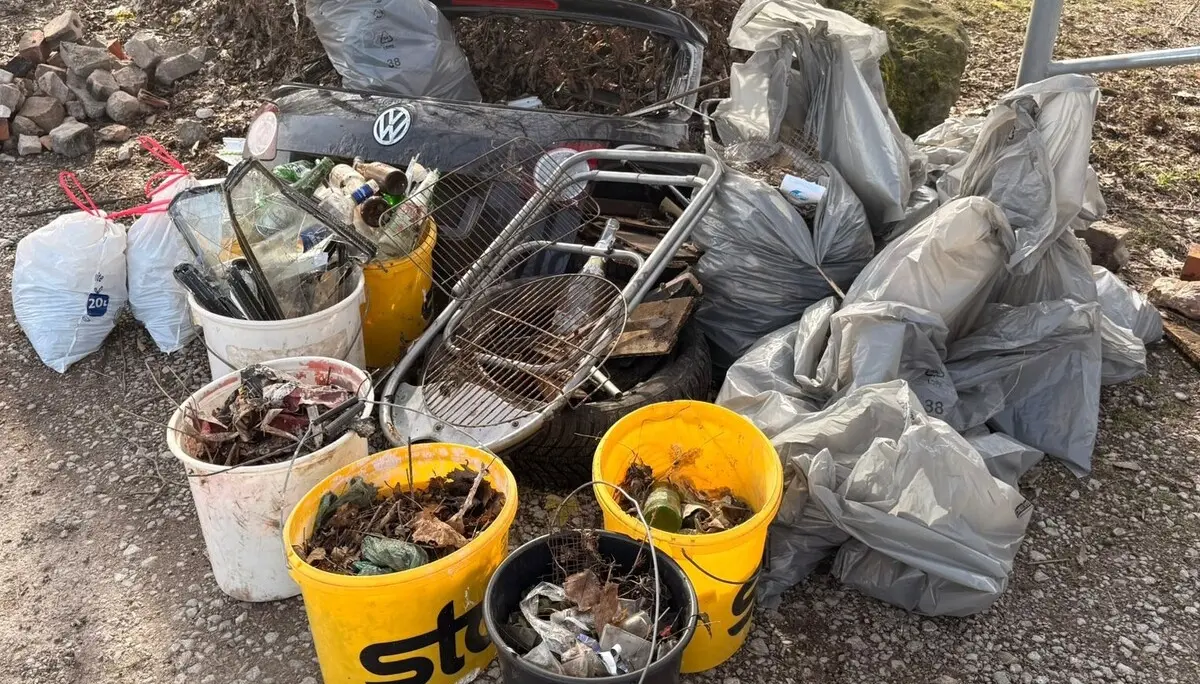 Reiche Ernte im Wald | © DAV-LB/Helsch