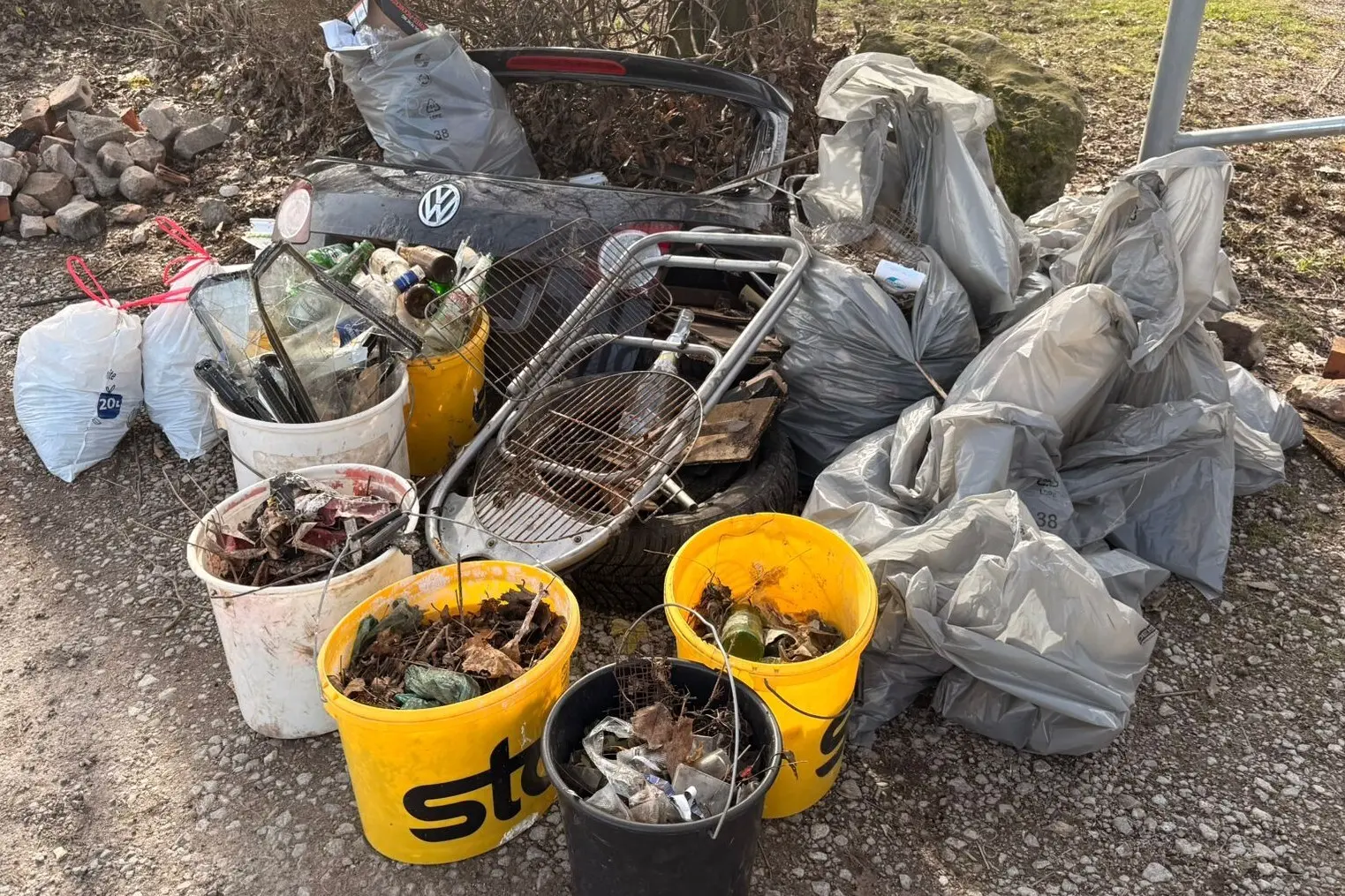 Reiche Ernte im Wald | © DAV-LB/Helsch