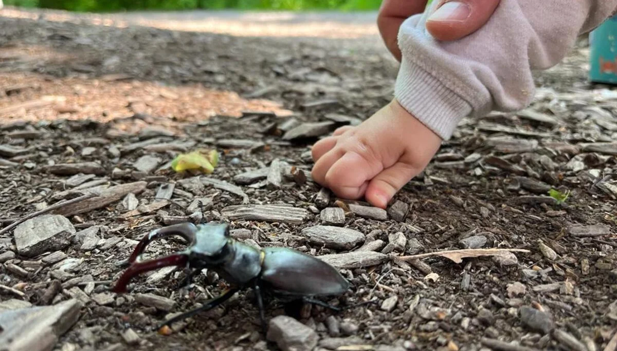 © DAV-LB / Heidenreich