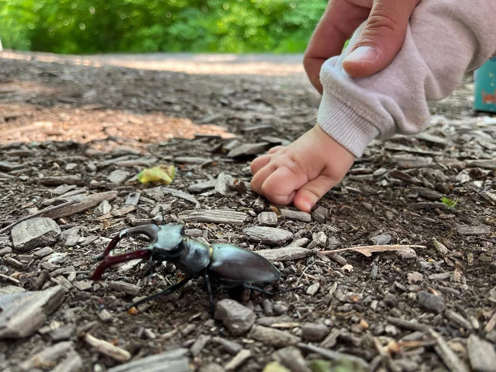 © DAV-LB / Heidenreich