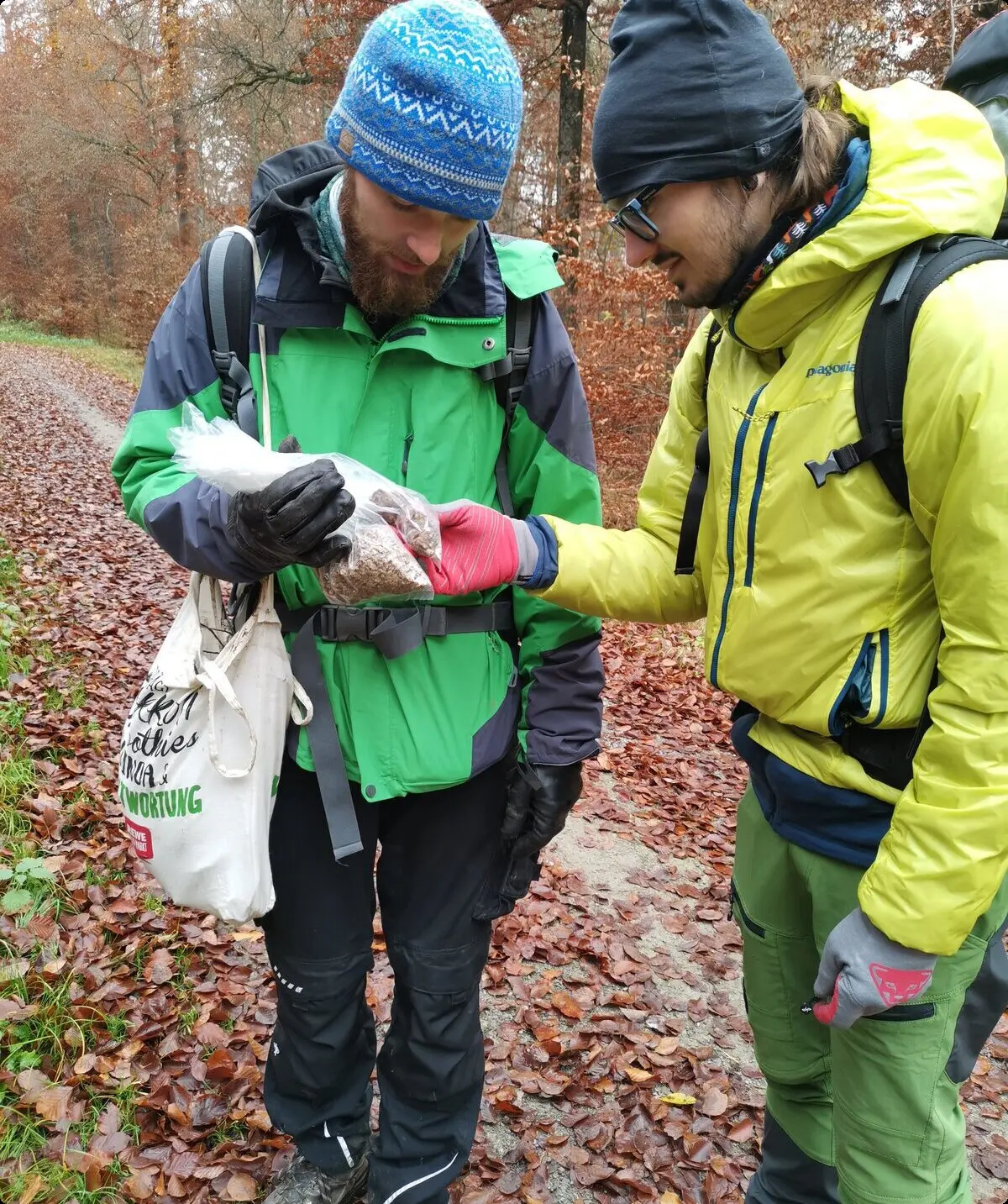 © DAV-LB / Alpinfüchse