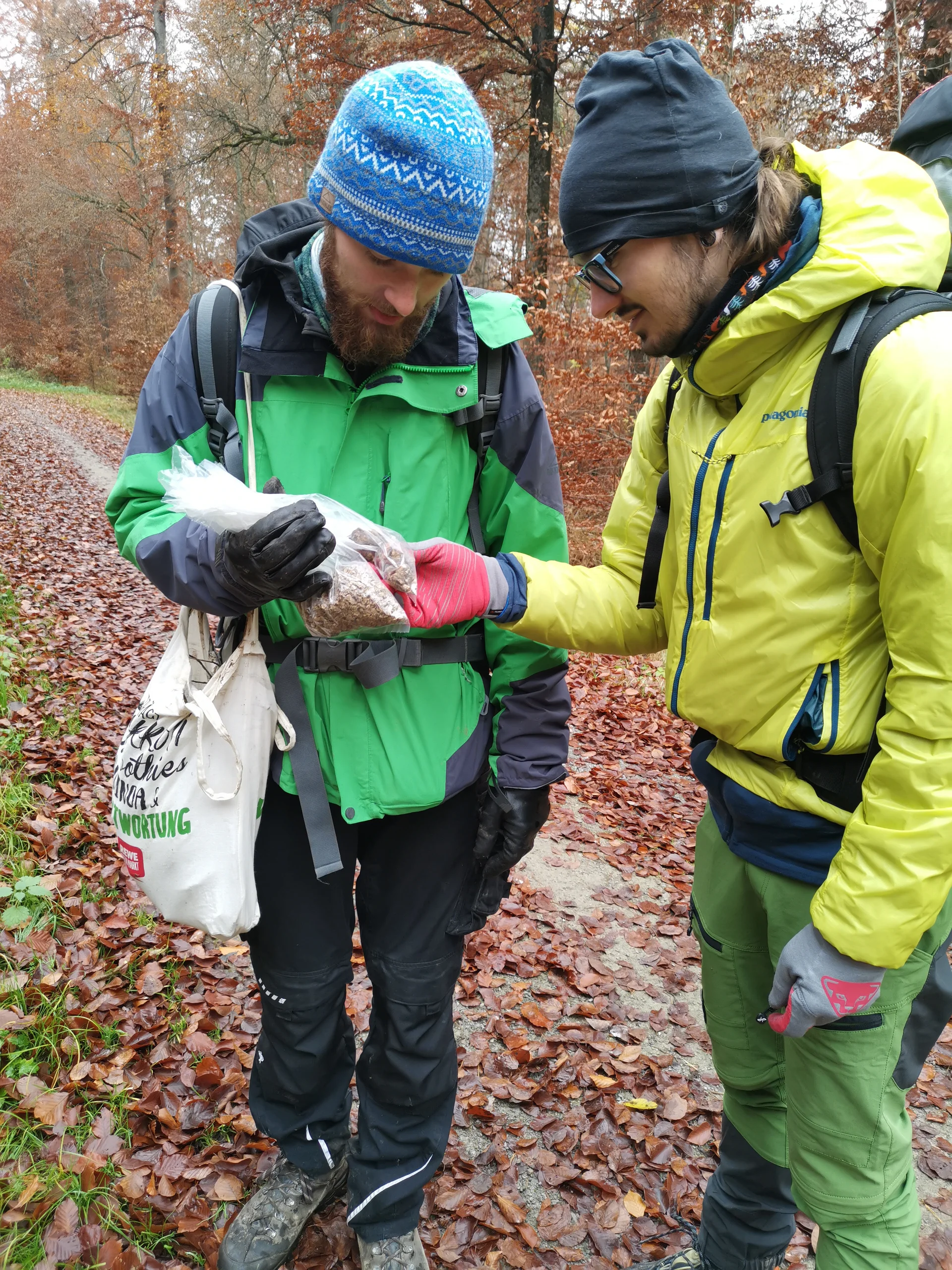 © DAV-LB / Alpinfüchse