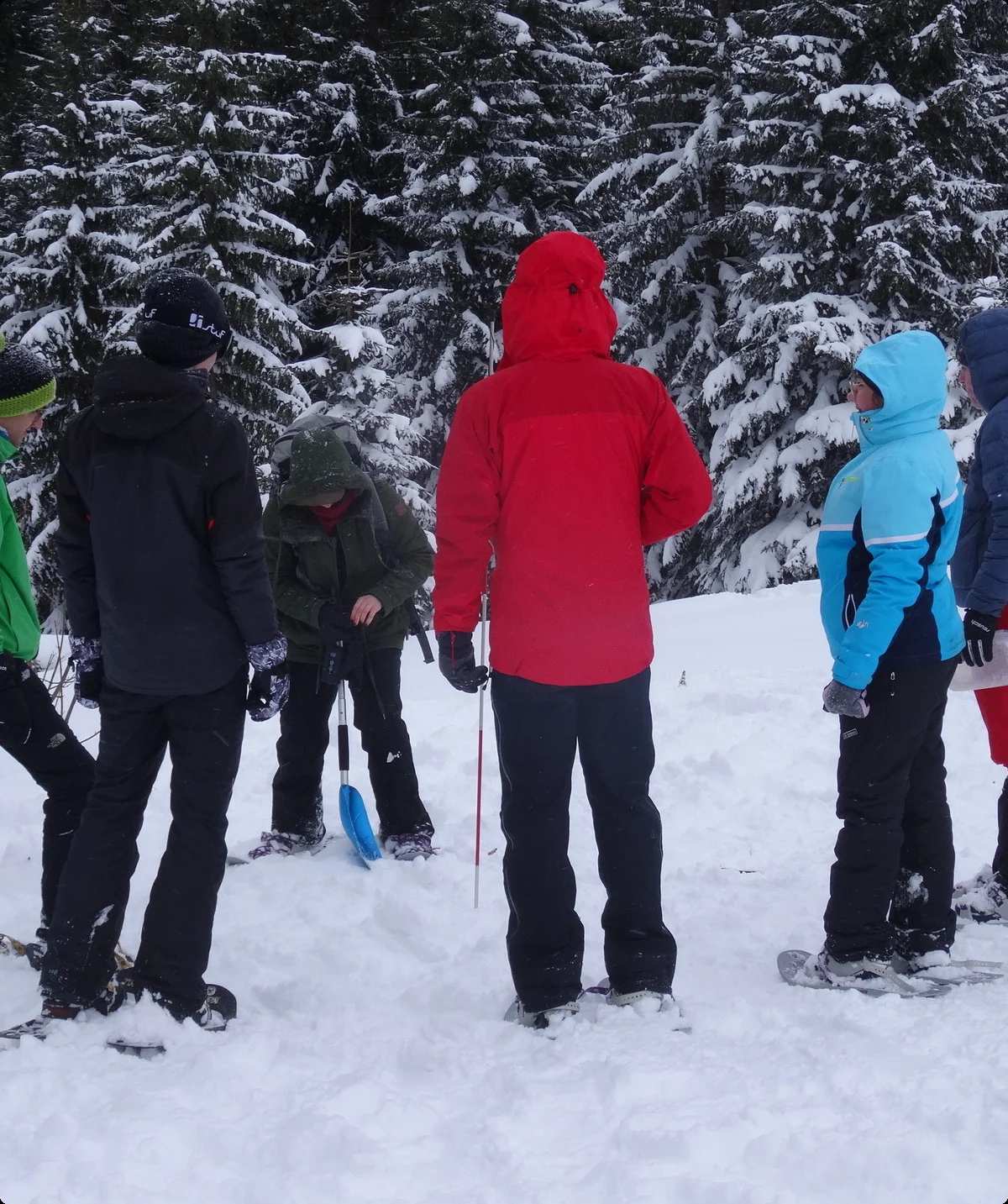 © DAV-LB / Alpinfüchse