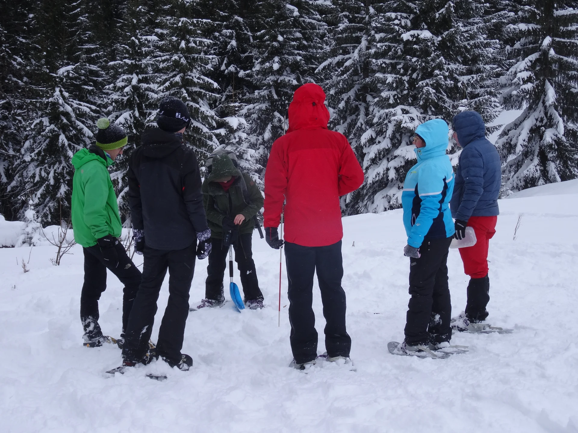 © DAV-LB / Alpinfüchse