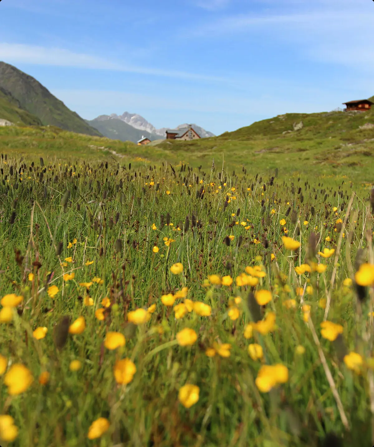 © DAV-LB / Ralph Pfirrmann