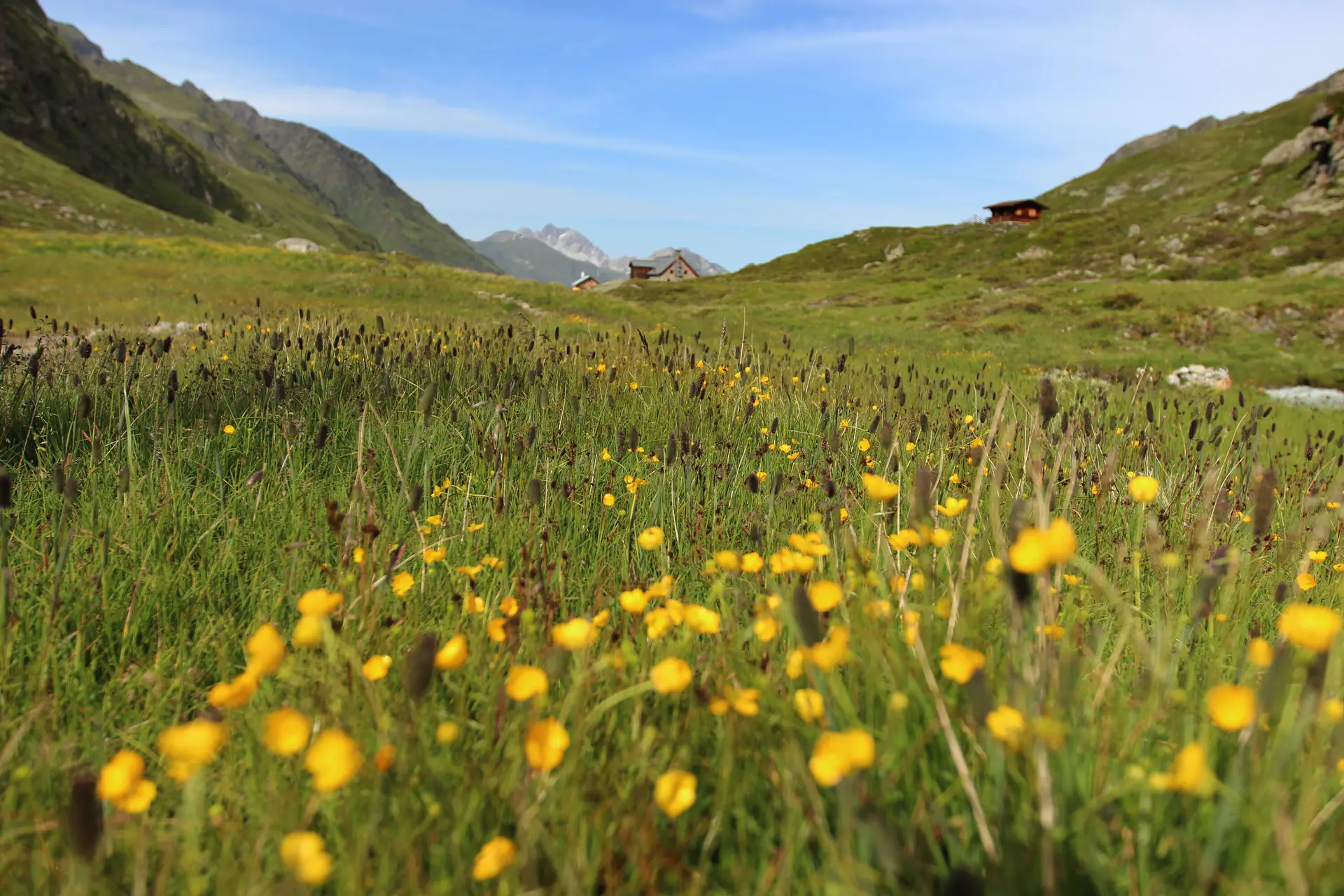 © DAV-LB / Ralph Pfirrmann